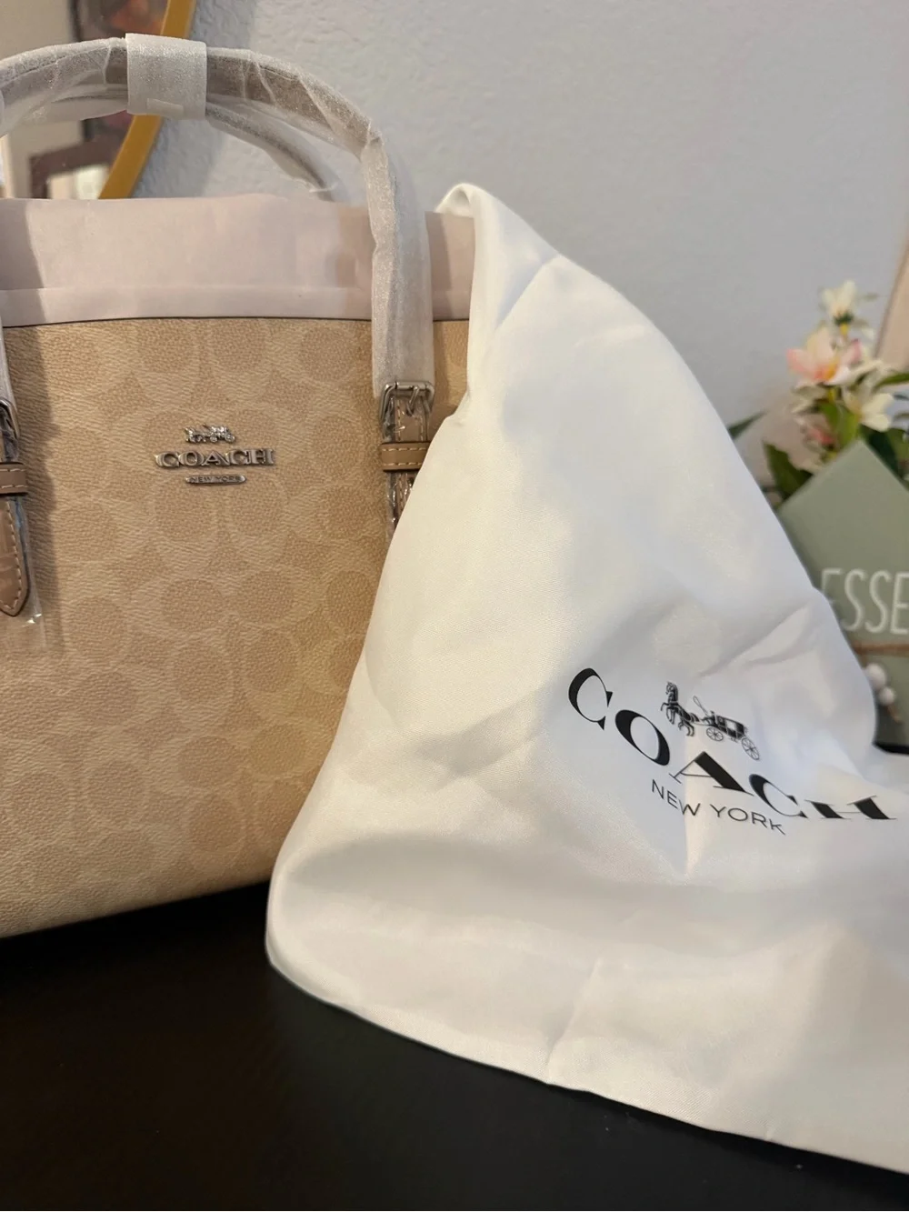 Coach Mollie 25 Tan Signature Tote New